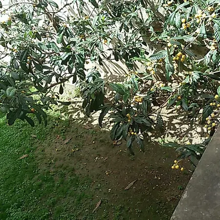 Apartment Yasmina E Xochilt Piombino